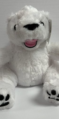 Polar Bear