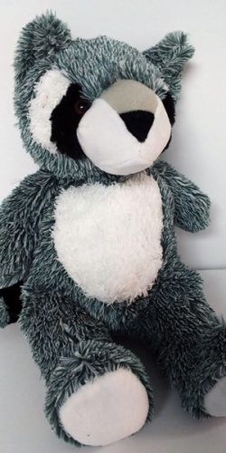 Raccoon