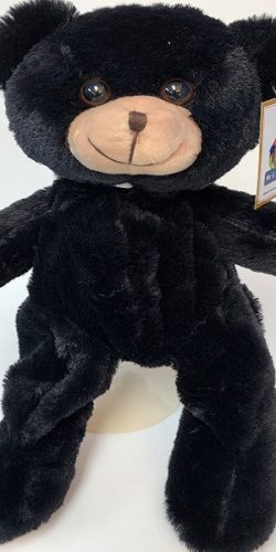 Black Bear