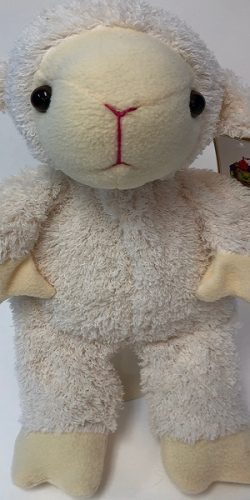 Sheep